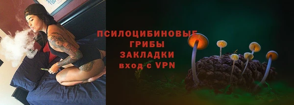 гидра Орск