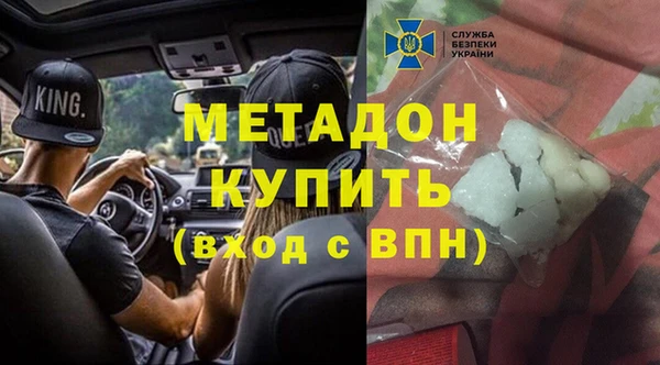 прущие грибы Барнаул