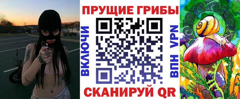 Галлюциногенные грибы Psilocybe  купить закладку  Удомля 