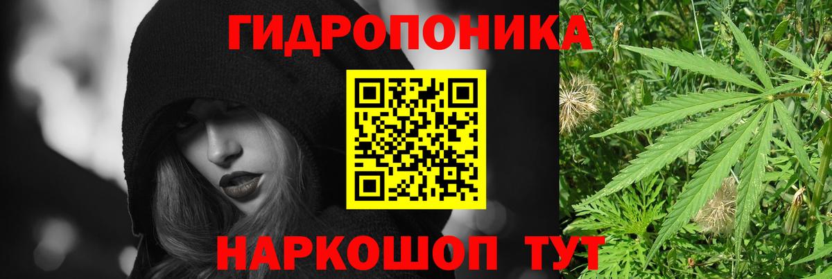 ГАШ  Лсд 25  Удомля  Вход с VPN  Каннабис  Мефедрон  